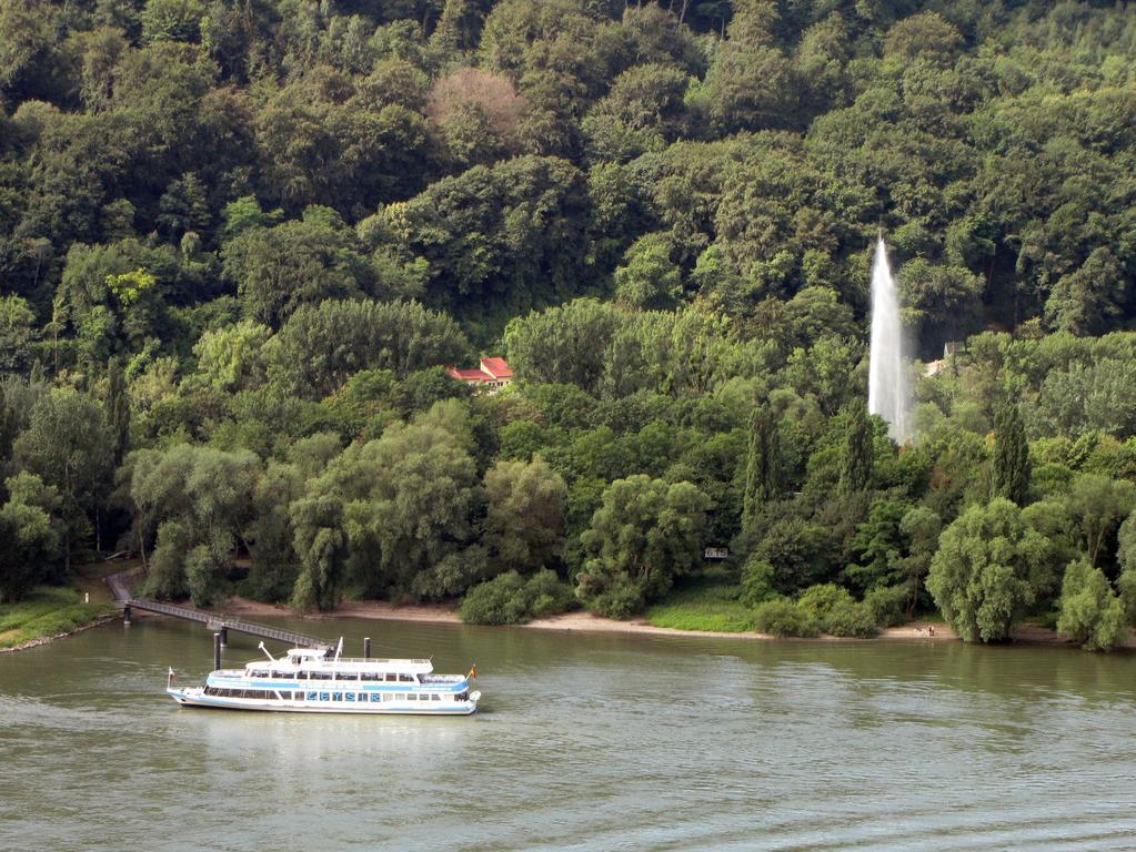 Ferienwohnung Antel Andernach Zewnętrze zdjęcie