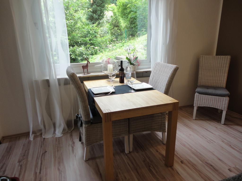 Ferienwohnung Antel Andernach Zewnętrze zdjęcie